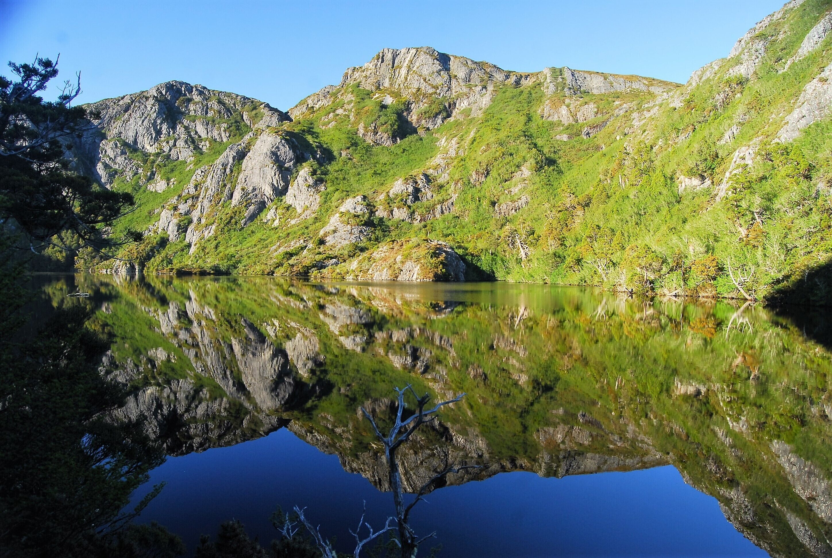 Crater Lake was the first of my expeditions away from Dove Lake.  It's just as pretty but the walk is tougher and longer.  You can hike there and back (roughly around 3 hours) or you can do a loop and get picked up by the service bus.  That takes around the same time but you get to see more and varied scenery.