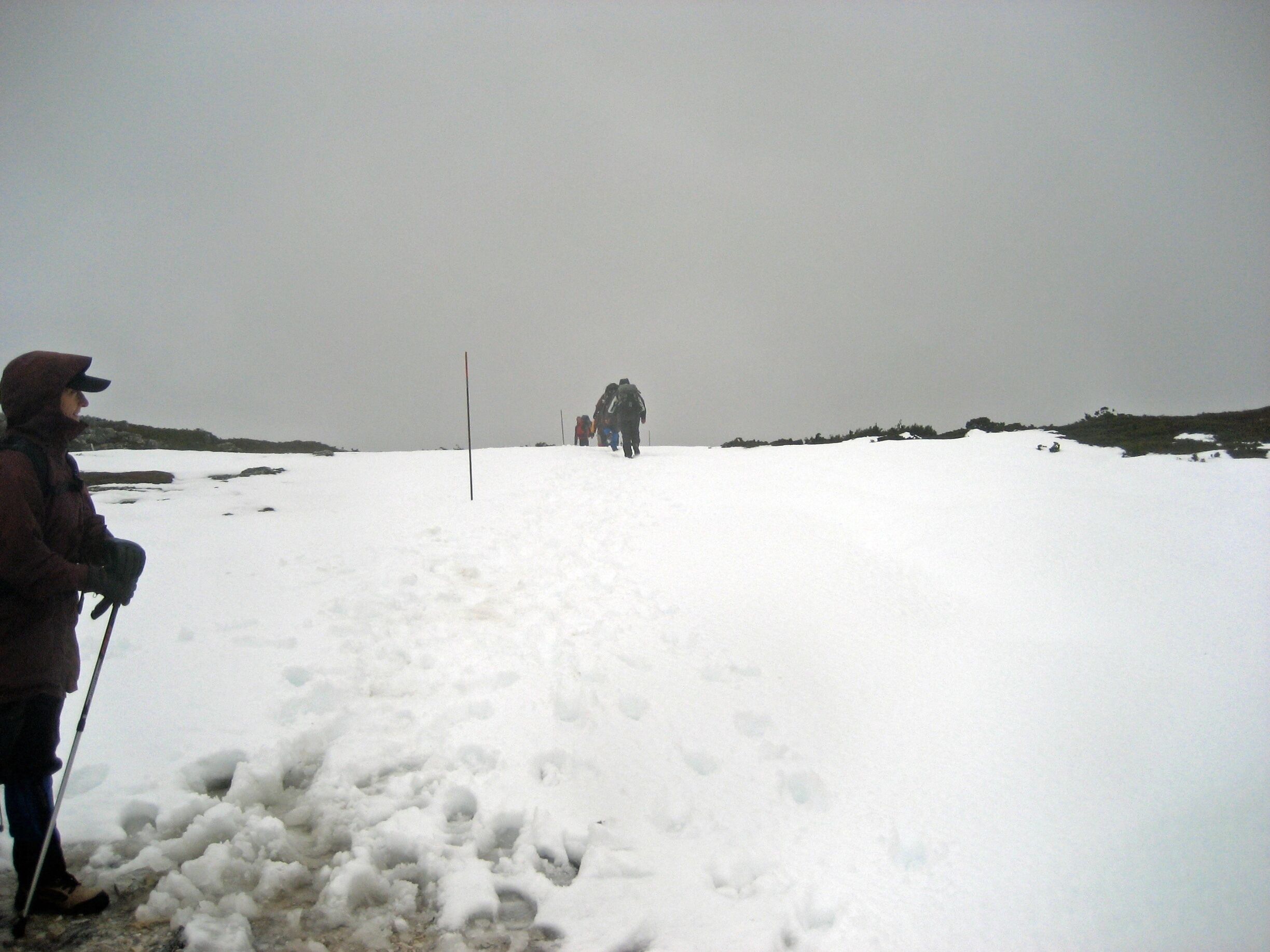 Trekking the Overland Track. If you're hard core you can carry your own gear and camp, or if you're like me and appreciate a warm, dry bed and a good meal at the end of the day, you can travel with Cradle Mountain Huts and stay in gorgeous cabins. This picture was taken in April which was unseasonable snowy.  #snow #hiking