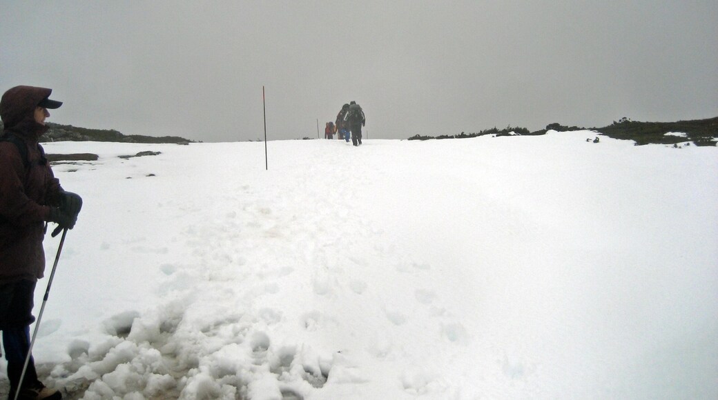 Trekking the Overland Track. If you're hard core you can carry your own gear and camp, or if you're like me and appreciate a warm, dry bed and a good meal at the end of the day, you can travel with Cradle Mountain Huts and stay in gorgeous cabins. This picture was taken in April which was unseasonable snowy. #snow #hiking