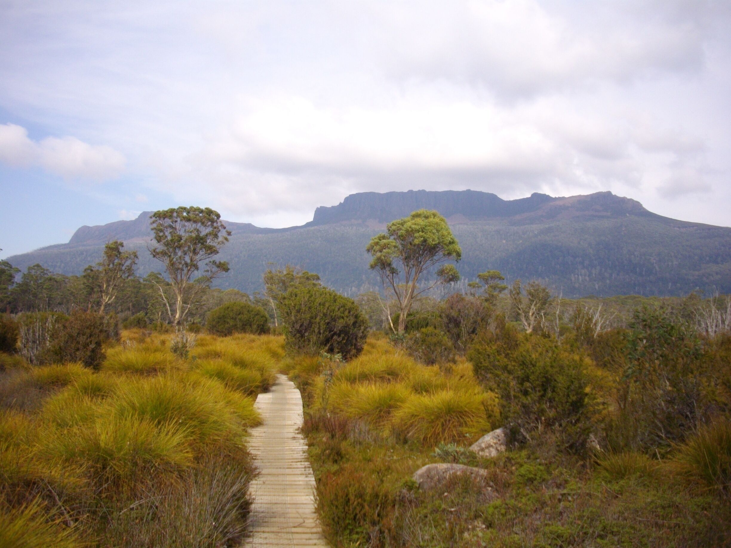 The Overland Track is a 65km (40 mi) track through the World Heritage Area from Cradle Mountain to Lake Saint Clair through beautiful Tasmanian wilderness. Most people take 5-6 days for the hike through the diverse terrain of sheer mountains, temperate rainforests, wild rivers and alpine plains. #hiking