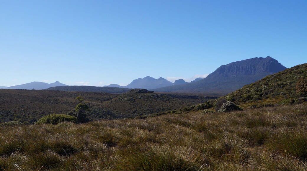 I left the hut alone; some of my walking group had already left, the rest were still getting ready. It was day three on my trek on the Overland Track, through the Cradle Mountain National Park. There was a bit if an early climb and at the top I had this view! Several of Tasmania's most remote mountains stood before me, including Pelion West, Mount Oakleigh and Tasmania's highest peak, Mount Ossa. #nationalpark #hiking