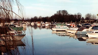 Evening at Penton Hook Marina in January 1973. Camera: Olympus Pen F Half Frame SLR.