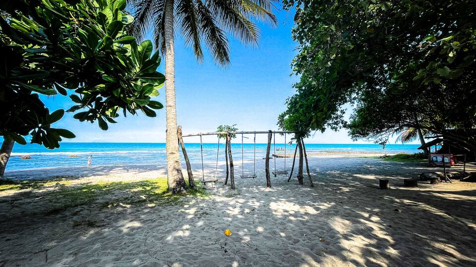 A beach with a swing set, palm trees, and the ocean.