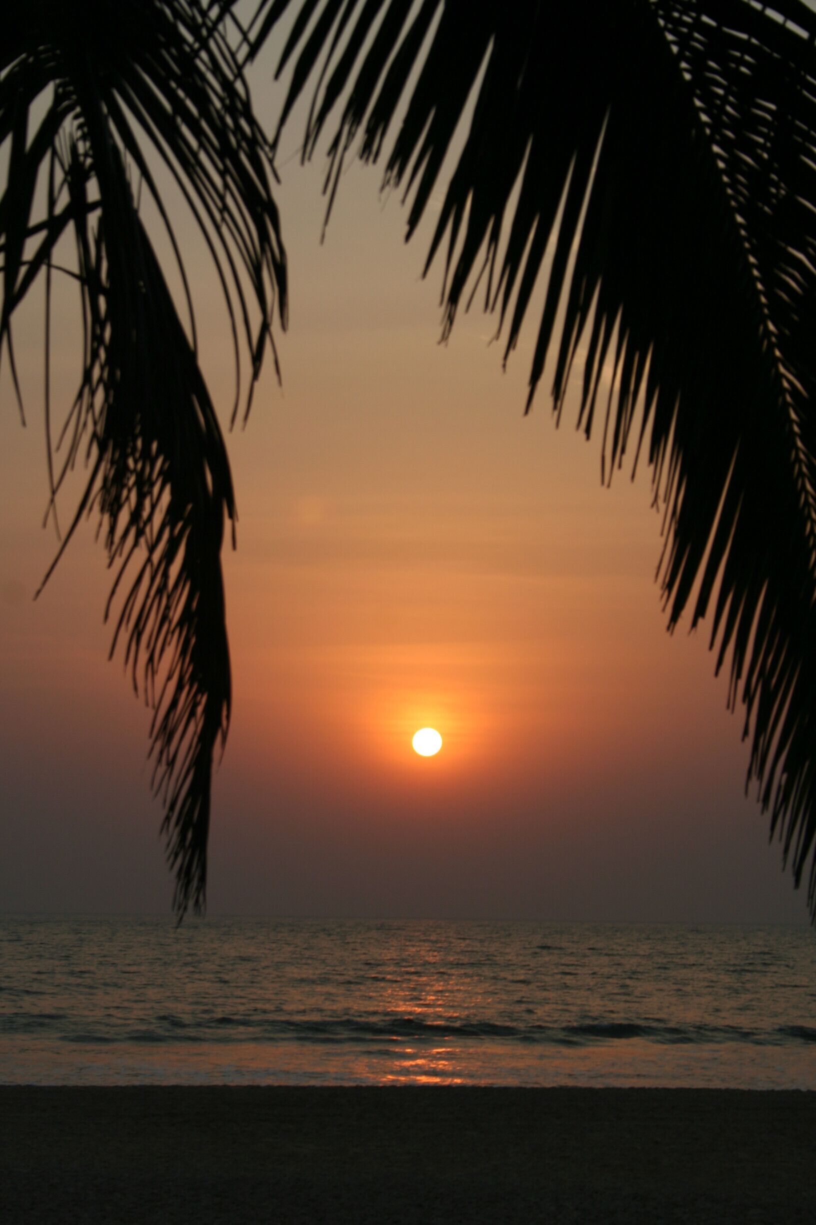 The Leela, Mobor at sunset......