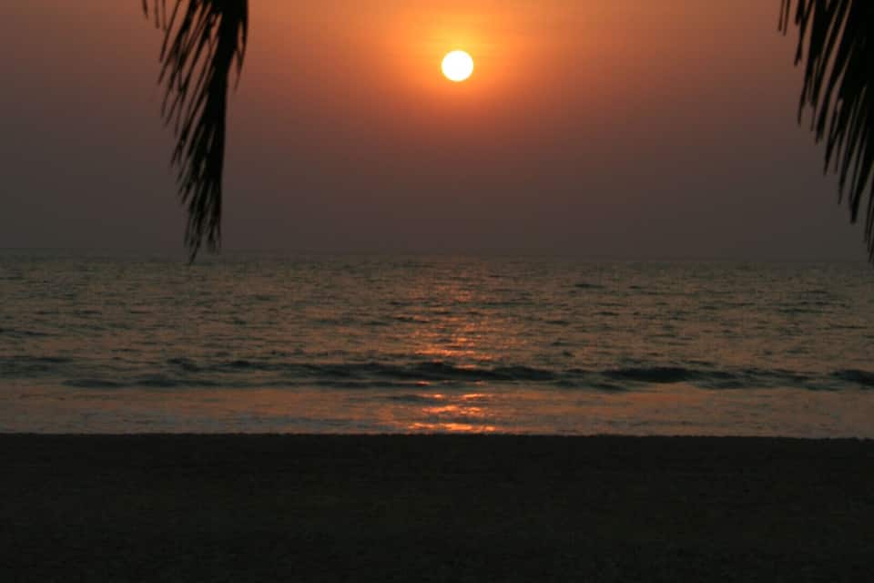 Ein Sonnenuntergang über dem Meer, wobei Silhouette von Palmen den Blick einfasst.