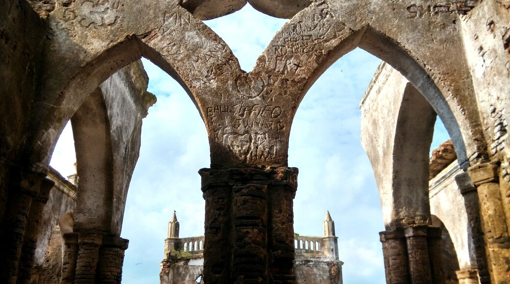 Ruined old Gothic church, probably built by French colony. During high monsoons the church will be 70 percent submerged in water, but this year due to less rain, we are able to walk into the place..
#Karnataka / #India /#travel