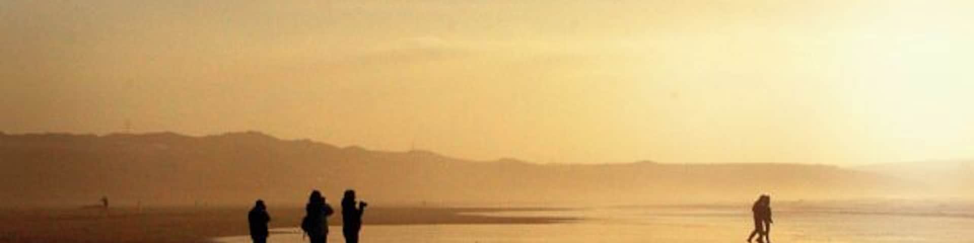 Enjoying the evening on Gwithian beach