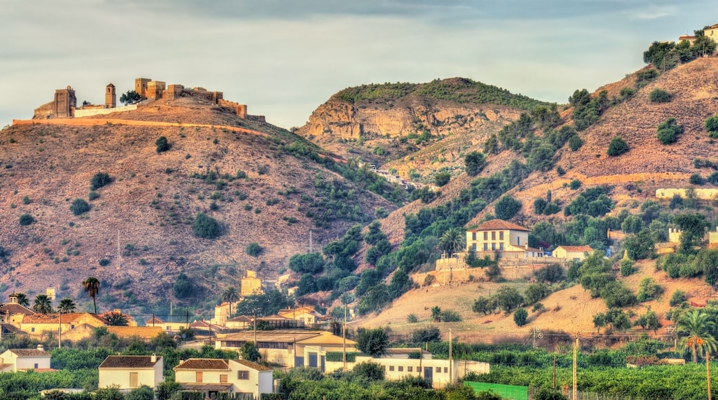 Álora