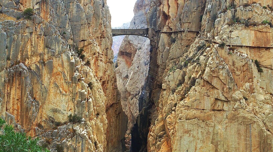 "The King's Little Pathway" spans the El Chorro gorge at a height of 100m. It was built in the early 1900s as an access path between nearby hydroelectric plants. The bridge got it's name in 1921 when King Alfonso XIII crossed it to help inaugurate a new dam.
The path rises to the bridge from either side of the gorge, snaking dramatically along the sheer cliff face. In recent years the path has been closed to all but rock-climbers, as many portions of the pathway had crumbled away.
However, the Spanish government recently completed a three-year restoration of the pathway, including guardrails, and it just opened yesterday - March 28, 2015! The 6€ entrance fee will be waived for the first six months, but you'll need to make reservations in advance: http://bit.ly/1BzhH8Y. Also, bear in mind that the path is one-way, so check the return bus schedule, or book a return crossing as well!
Lonely Planet has ranked the new pathway as one of the hottest new travel experiences for 2015. And finally, here is a link to a cool video of the restoration process: http://bit.ly/1vCkulv