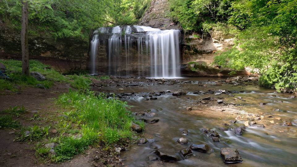 A waterfall in a forested area with a rocky stream below.