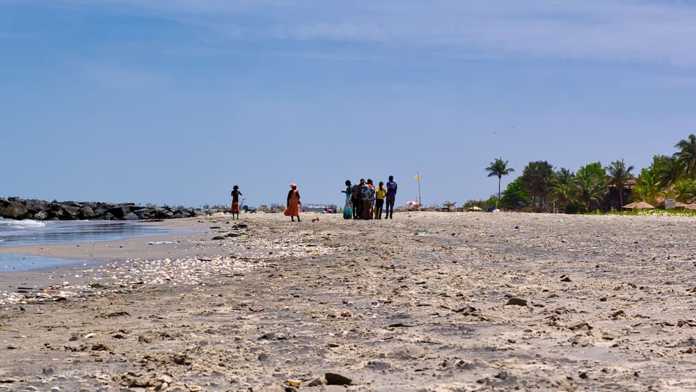 A beach with people standing in the distance, palm trees, and a clear blue sky.