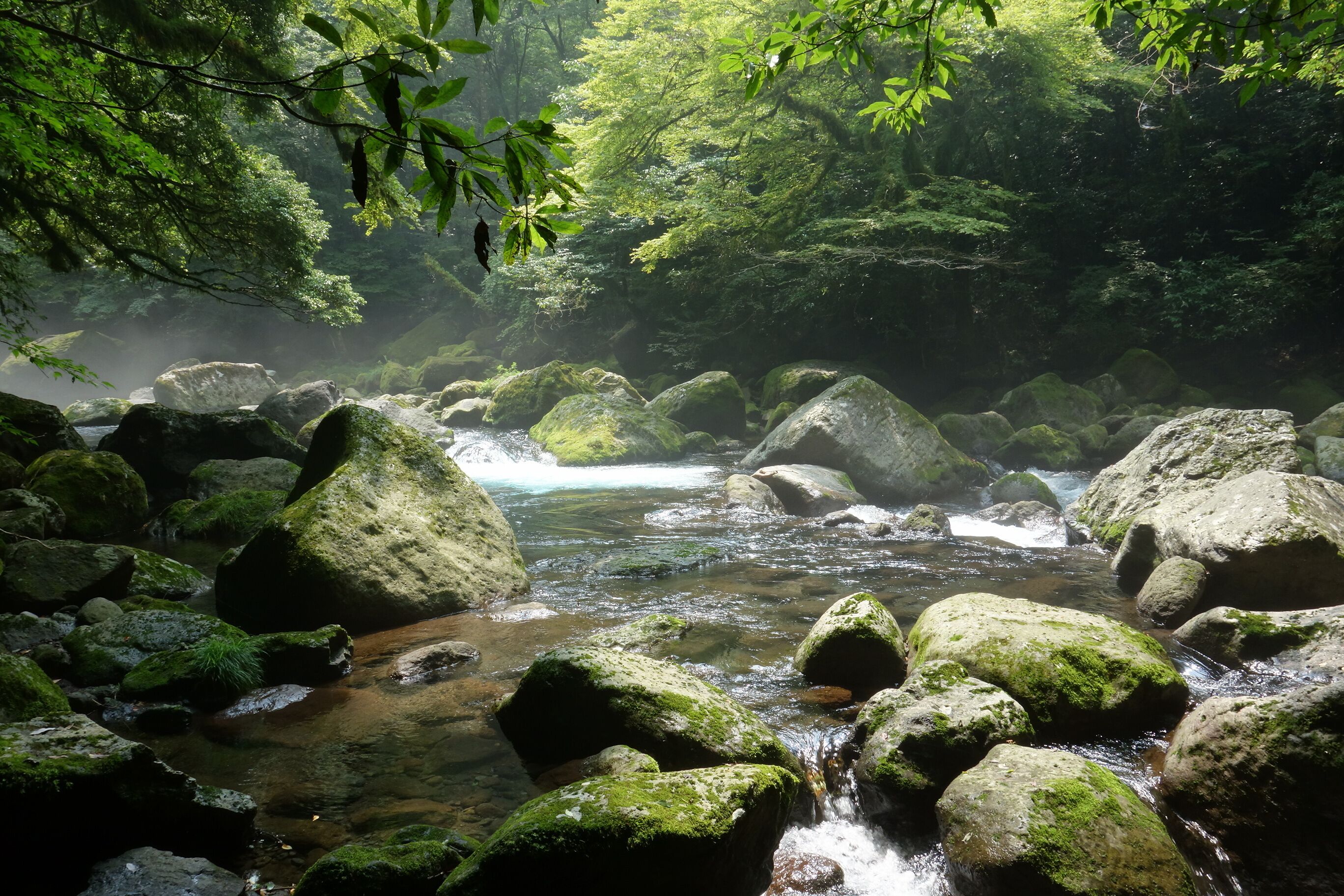 菊池渓谷 20130815