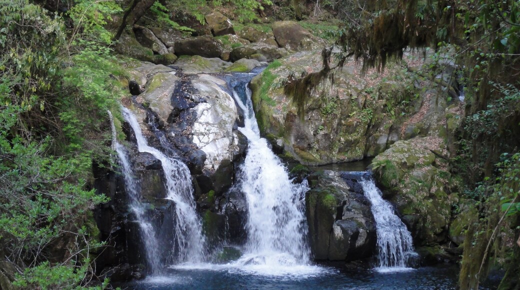 Tengu waterfall in Kikuchi valley,Kumamoto Pref., Japan