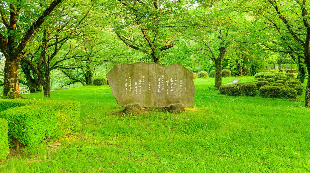 新緑風景(公園風景)観光地
Fresh green scenery (park scenery) sightseeing spot
日本2021年(6月撮影)「菊池公園」
Japan 2021 (photographed in June) "Kikuchi Park"
九州・熊本県菊池市
Kikuchi City, Kyushu Prefecture