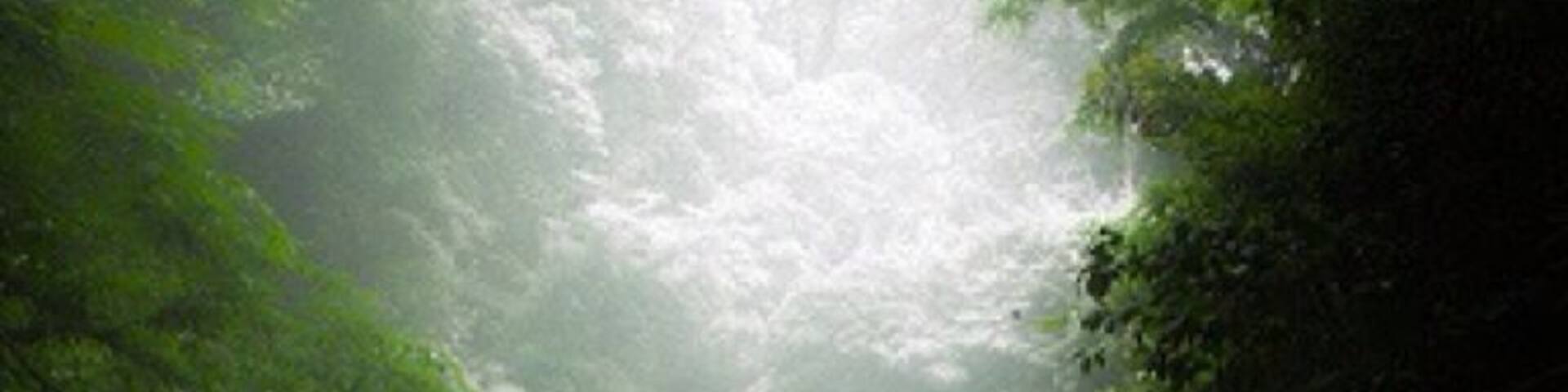 çæŹç èæ± æžè°·