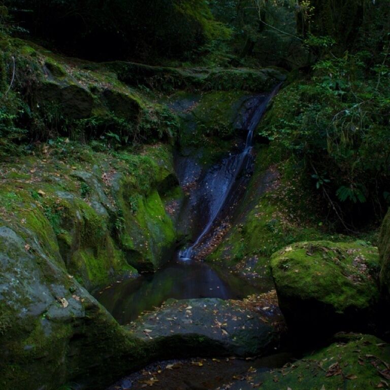 熊本県 菊池渓谷