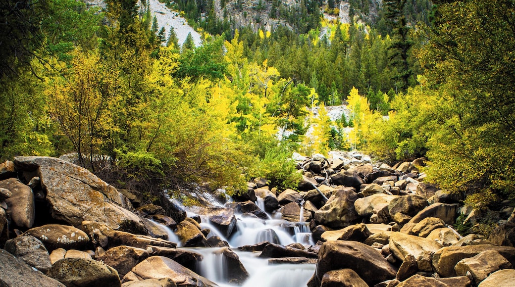 Went out for another weekend of leaf peeping and came across this on our way up to St. Elmo and Tincup.