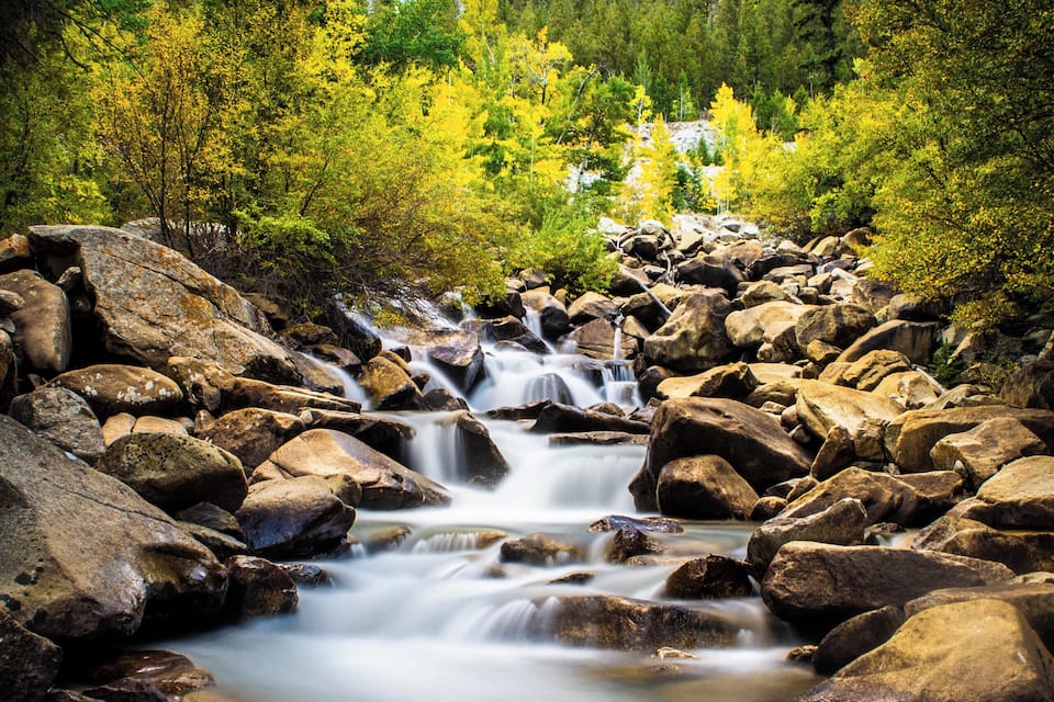 A mountain stream with rocks and trees.