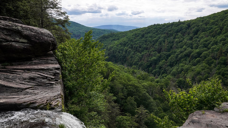A rocky cliff with a river flowing at its base, surrounded by dense forest and rolling hills in the background.