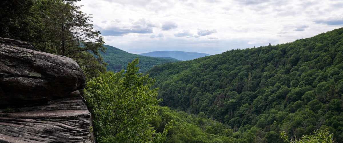A rocky cliff with a river flowing at its base, surrounded by dense forest and rolling hills in the background.