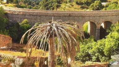 El Puente tapas bar, Gaucin, Andalucia. View from the terrace. #Green