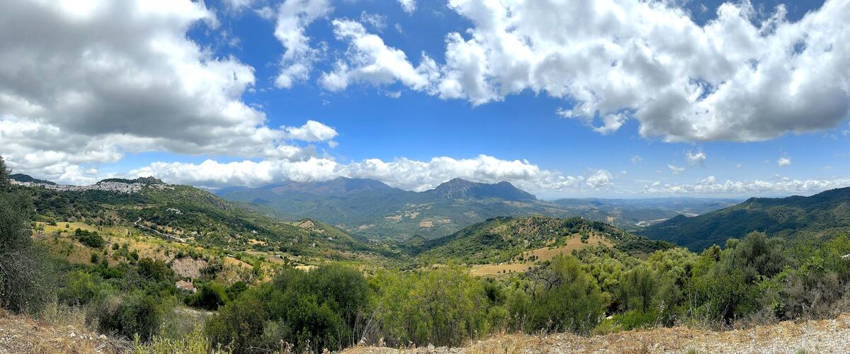 A mountainous landscape with scattered trees and a clear blue sky.