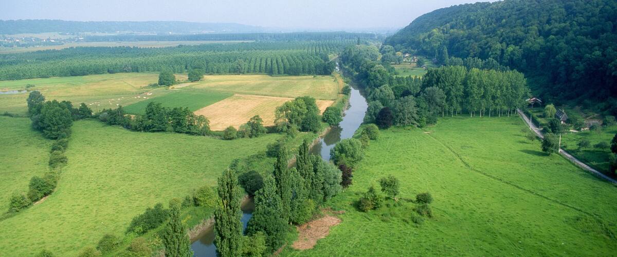 A river winding through a lush green valley with fields and dense forests.