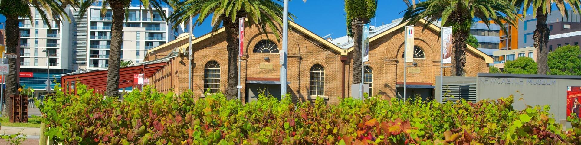 A vineyard with grapevines in front of a historic building with arched windows and a brick facade.