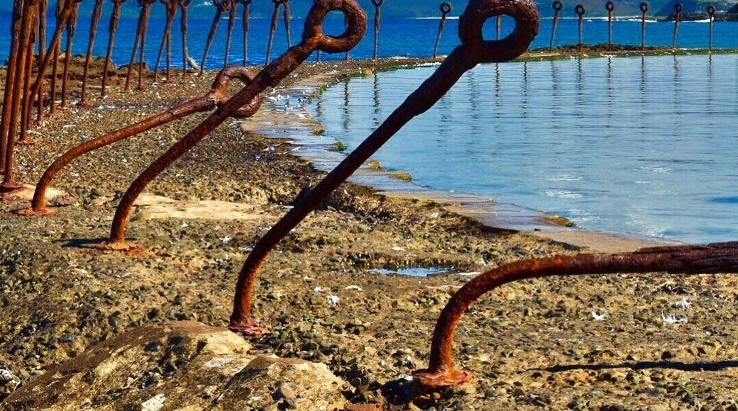 #Springfun Rockpools