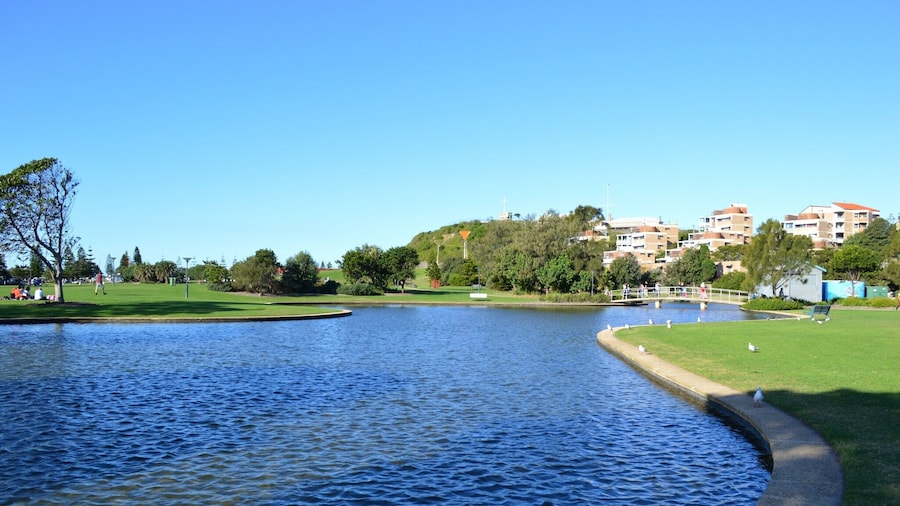 A great little park right near the Newcastle train station. Perfect little place to take the kids and have a family picnic. Lots of open spaces and plenty of birds to watch.
Such a lovely spot to enjoy in the day.
Please head over to my blog to read more about a day trip to Stockton.