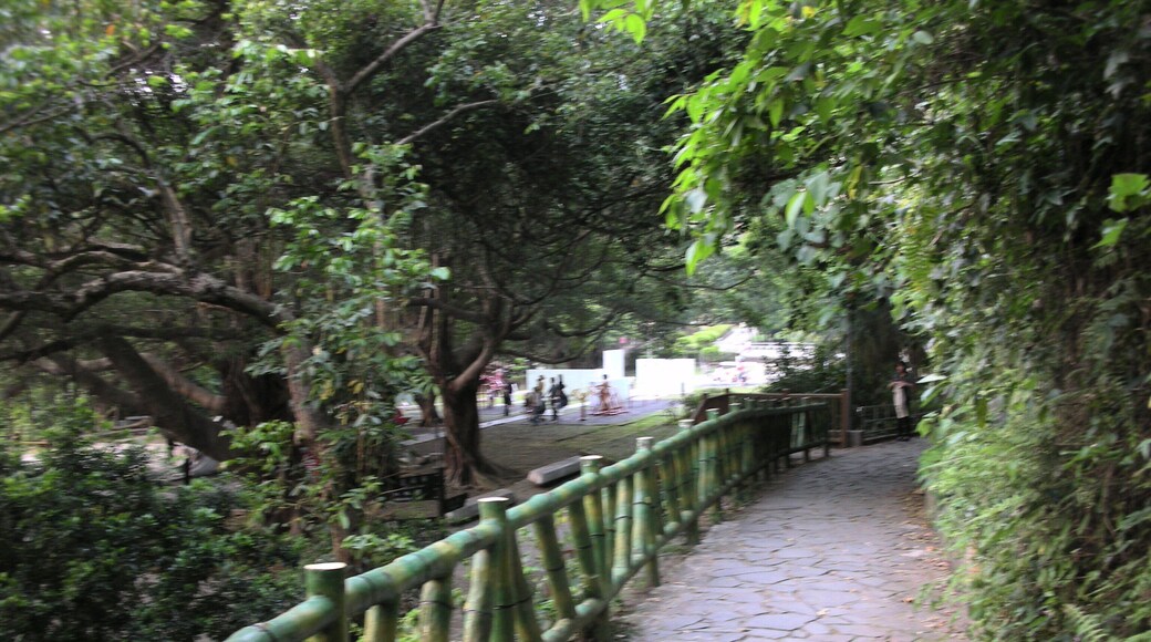 天母公園 Tianmu Park