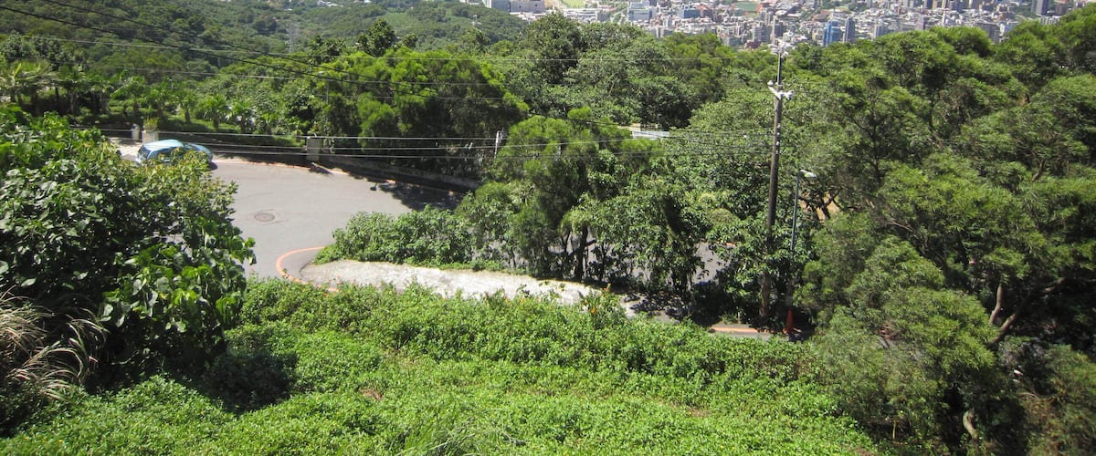 天母山上看台北市