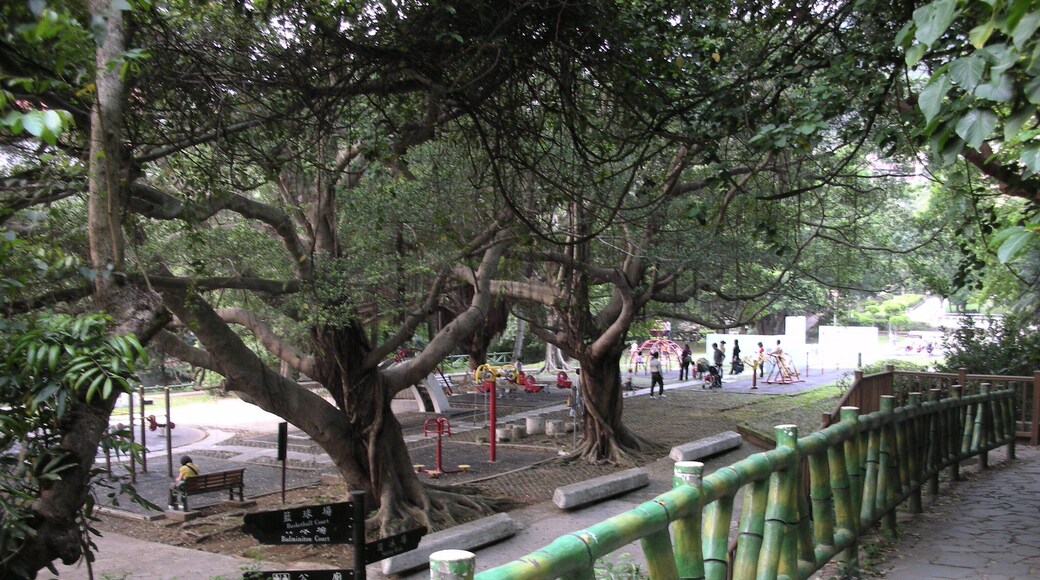 天母公園 Tianmu Park