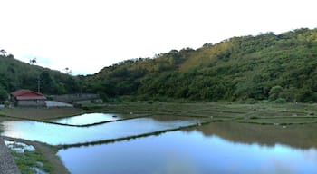 Caoling Historic Trail