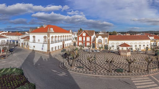 التر دو تشاو