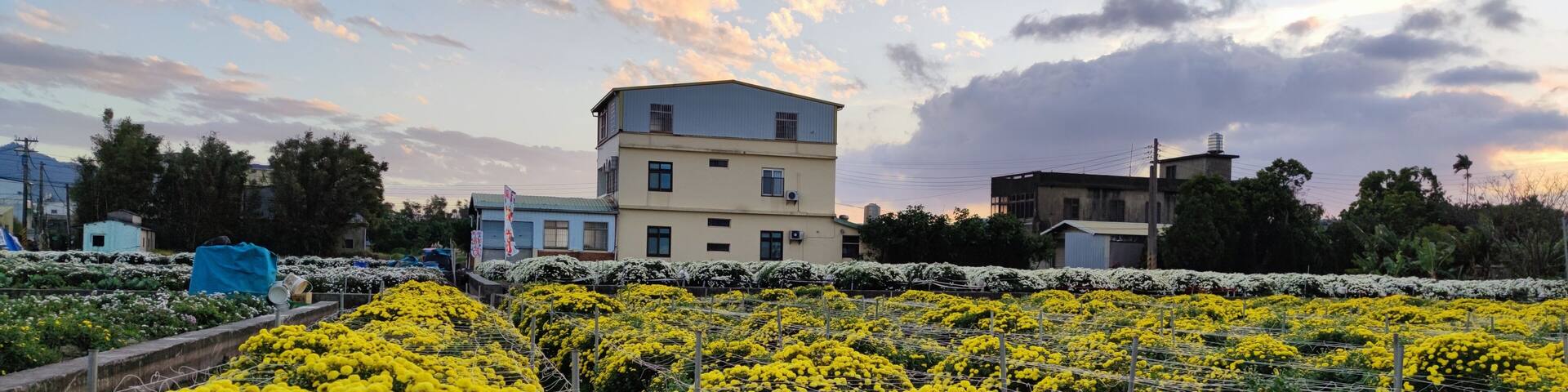 The Tongluo Hangju Life Festival, Miaoli County, Taiwan