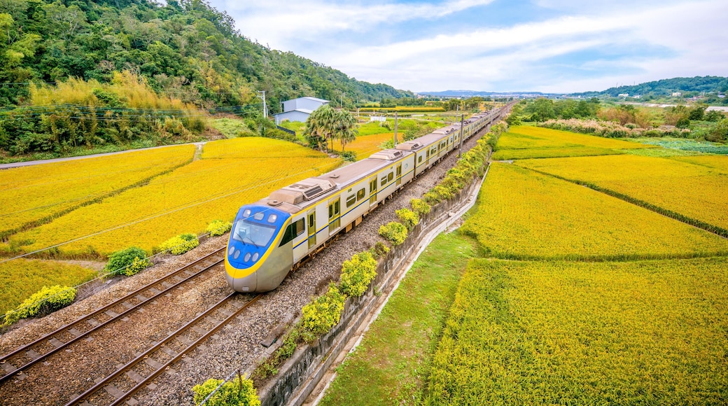 KHJATP train on the field in miaoli, taiwan