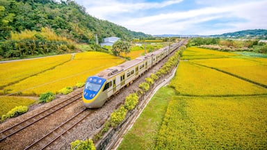 KHJATP train on the field in miaoli, taiwan