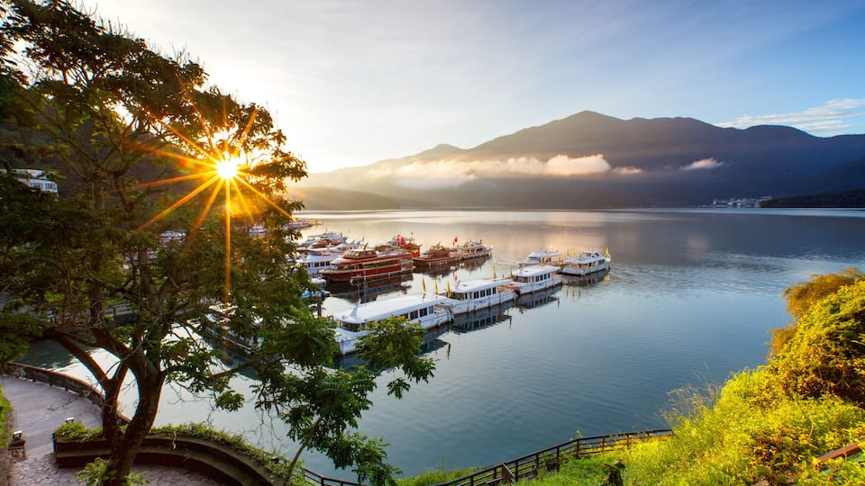 A lake with boats docked, a tree in the foreground, and mountains in the background.