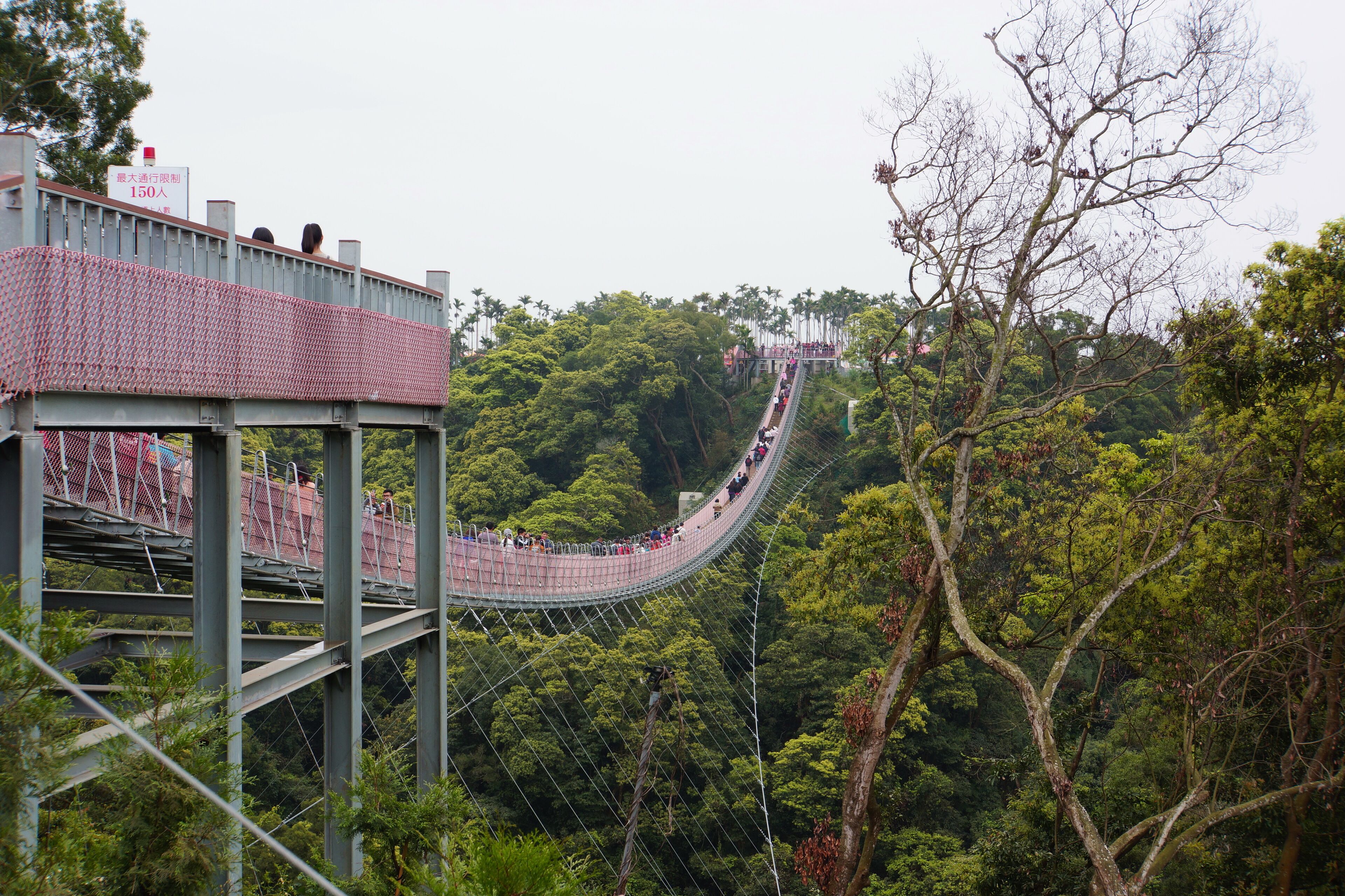 天空之橋 Sky Bridge