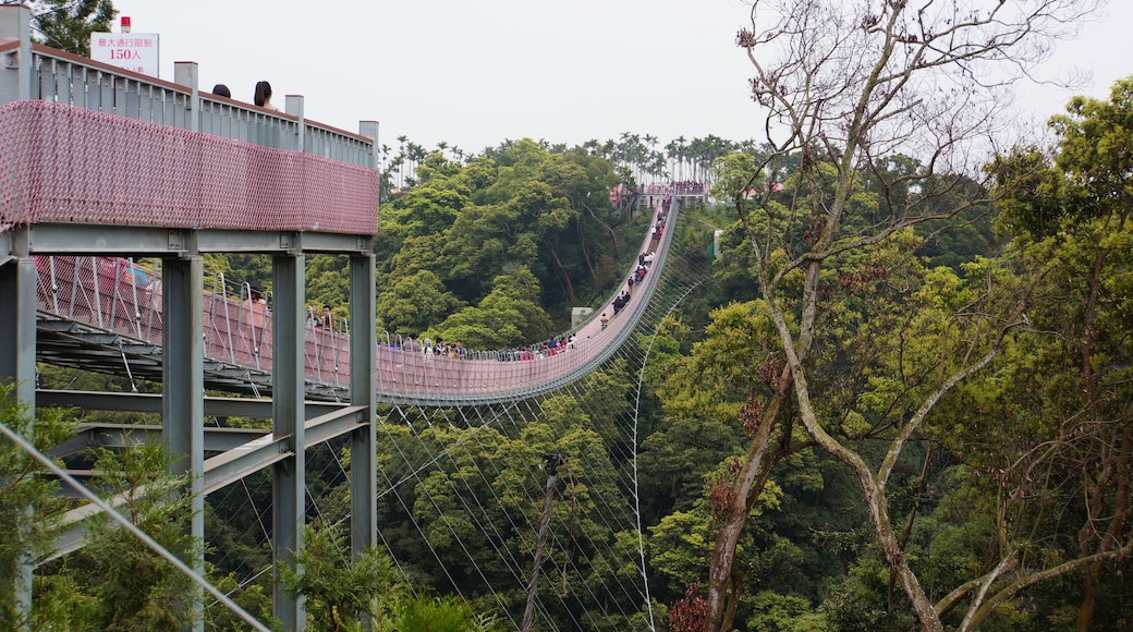 天空之橋 Sky Bridge
