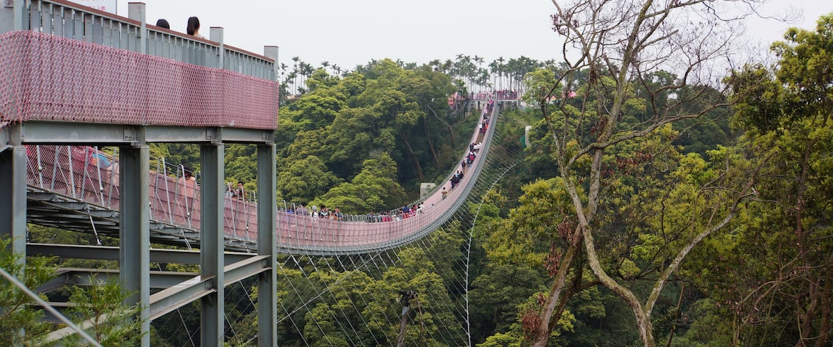 Un puente colgante en un área boscosa.
