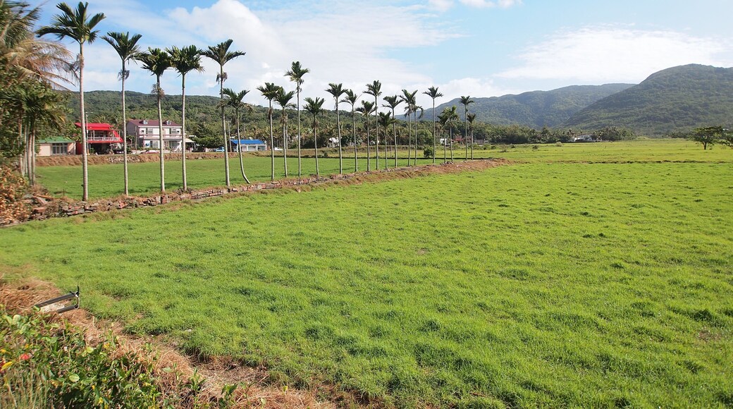 热带风光 - Tropical Scene - 2012.02