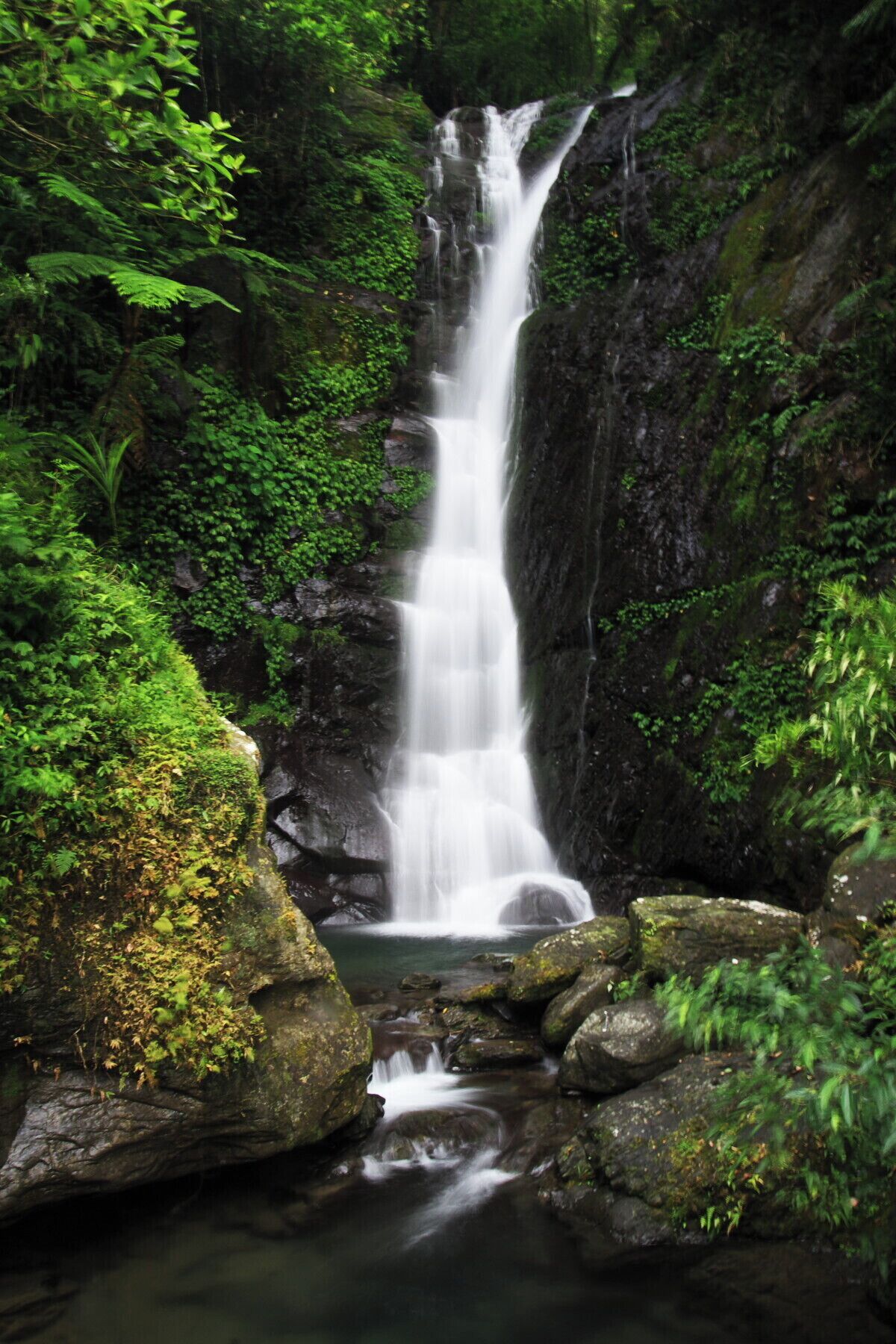 A waterfall cascading down a rocky cliff surrounded by lush greenery.