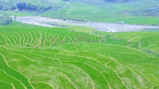 Lao Chai, Ta Van, Sapa, Vietnam
Patterns of the rice fields while trekking the Sapa Valley. #patterns #packsandaplan