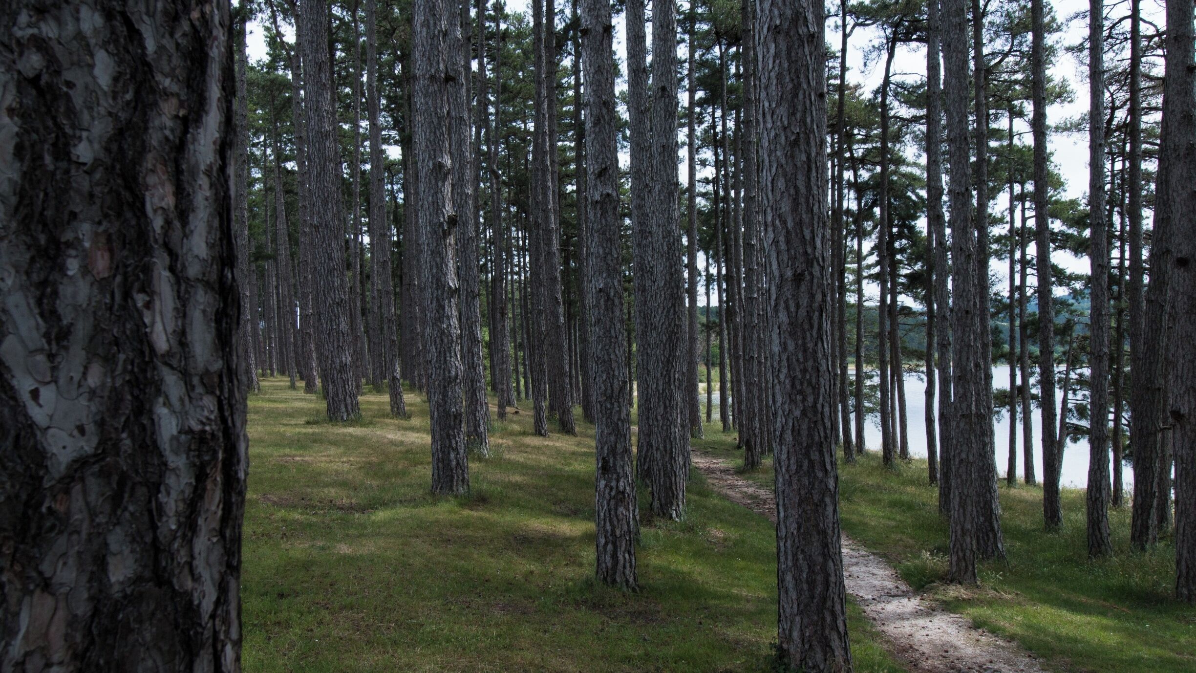 Walk around the lake, there are some very nice places to see and to take a break or take a picnic 