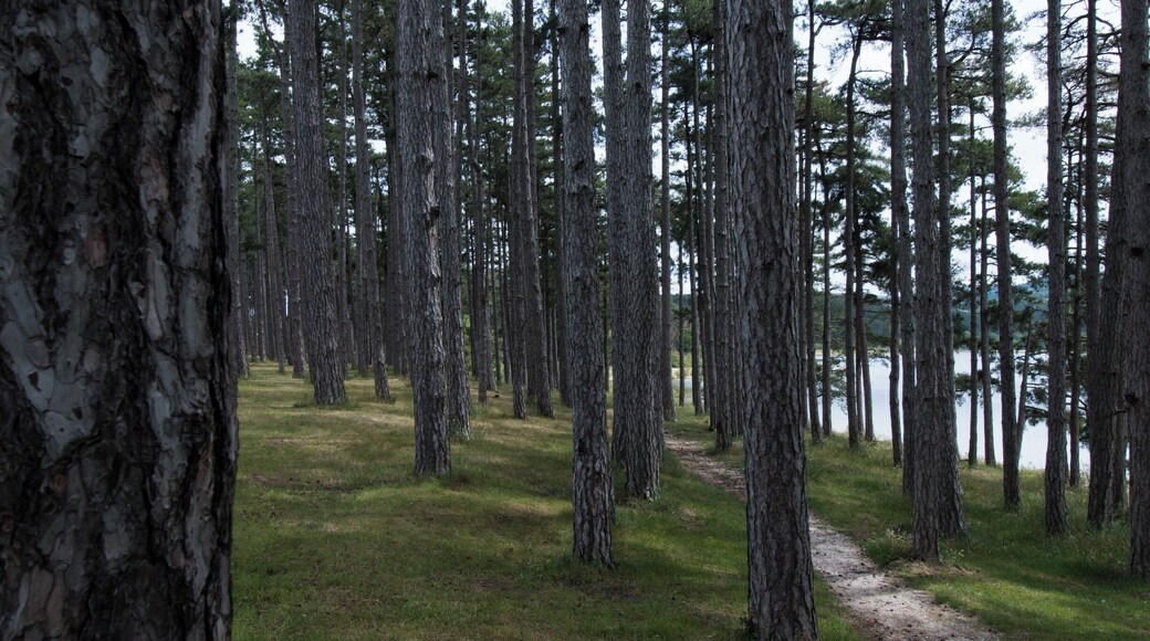 Walk around the lake, there are some very nice places to see and to take a break or take a picnic