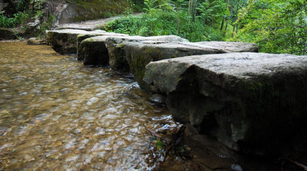 Don't miss the waterfall behind the lake, it is very beautiful. A very nice walk to do when coming the the lake
