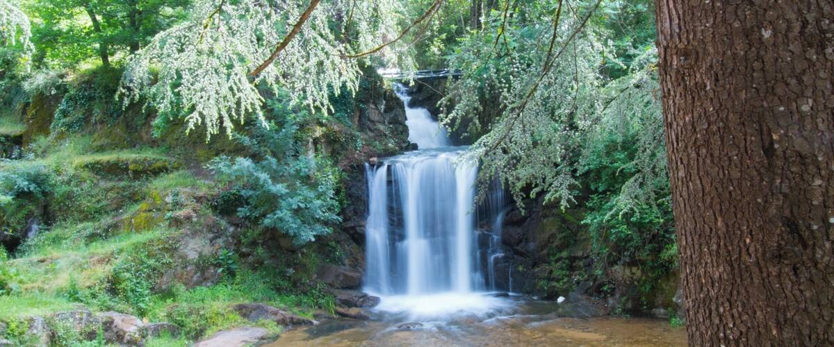 A waterfall surrounded by lush greenery and a rocky terrain.
