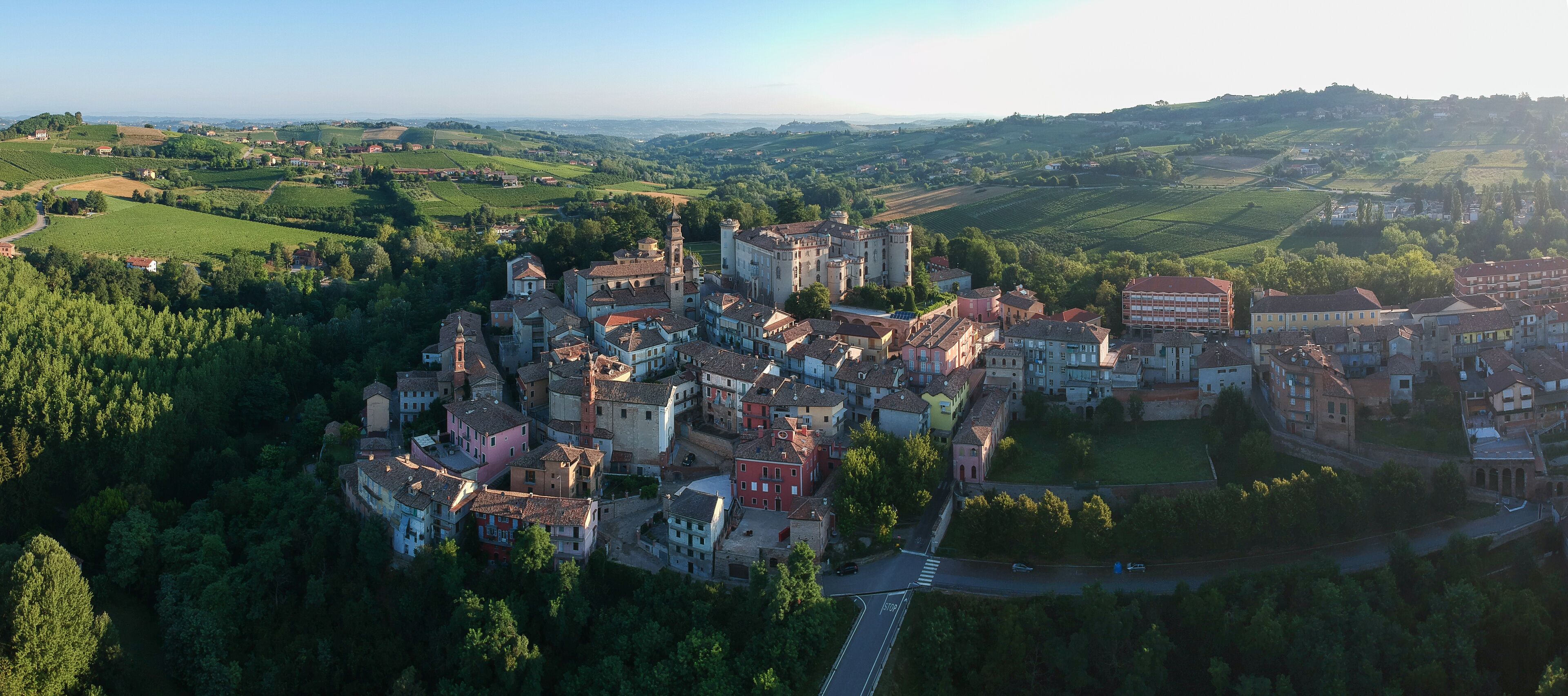 A historic town with a prominent castle, vineyards, and rolling hills in the background.